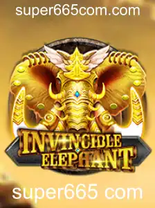 InvincibleElephant: Conheça o Fenômeno do Momento